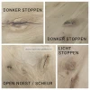 noest stoppen