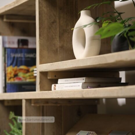 wandkast steigerhout.4