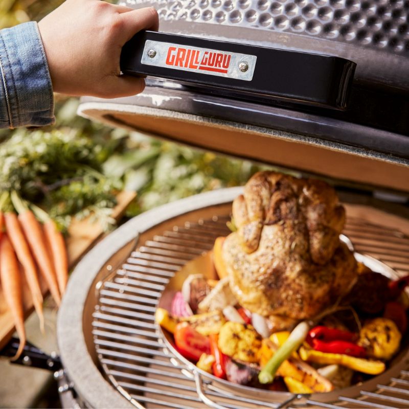 bird sitter grill guru