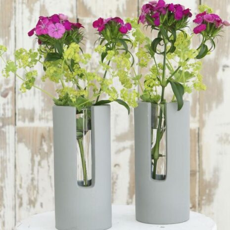 stekvaasje - reageerbuis betonlook met plantje
