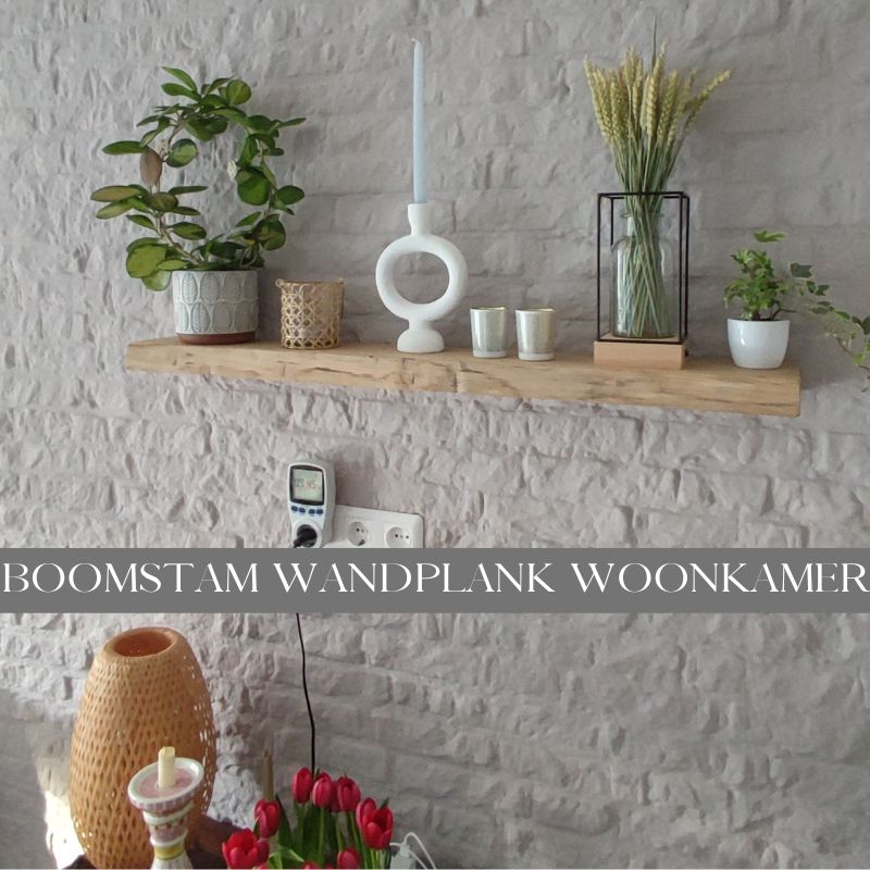 boomstam wandplank eikenhout in de woonkamer