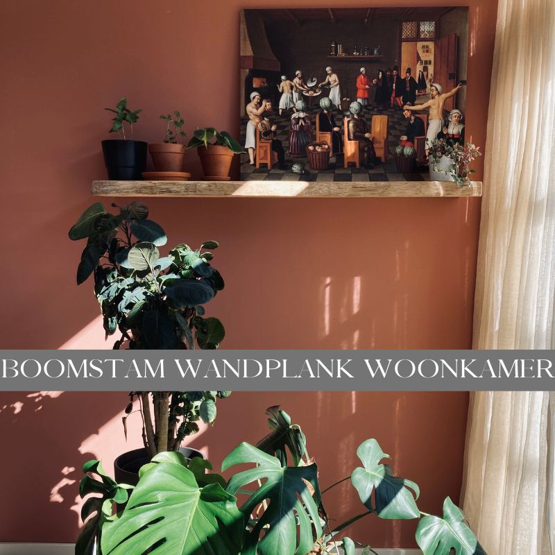 boomstam wandplank woonkamer