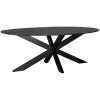 Zwarte Eettafel Zion - Mangohout - Ovaal - 210x100 cm met matrix poot