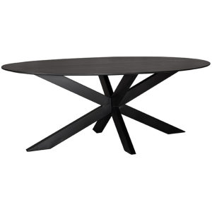 Zwarte Eettafel Zion - Mangohout - Ovaal - 210x100 cm met matrix poot