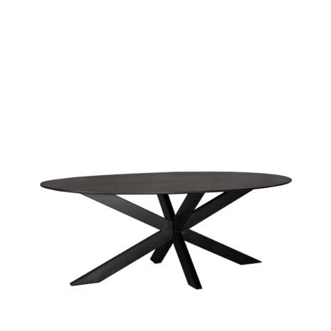 Zwarte Eettafel Zion - Mangohout - Ovaal - 210x100 cm met matrix poot
