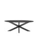 LABEL51 Eettafel Zion - Zwart - Mangohout - Ovaal - 210x100 cm met matrix poot