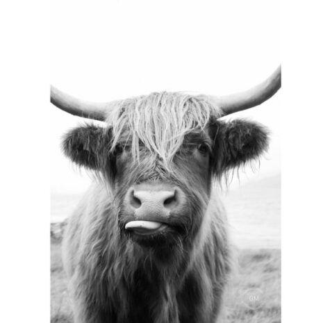 Tuinposter happy cow