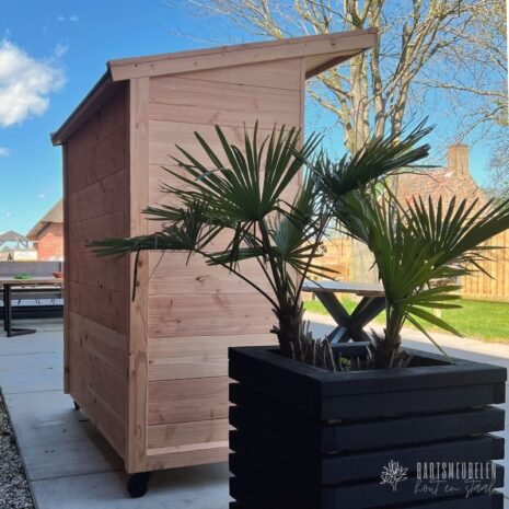 Achterkant Buitenkeuken Afdak Douglas - Bouwpakket 2