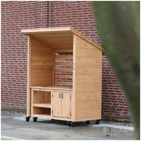 Buitenkeuken-overkapping