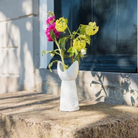 vaas vis staart wittt