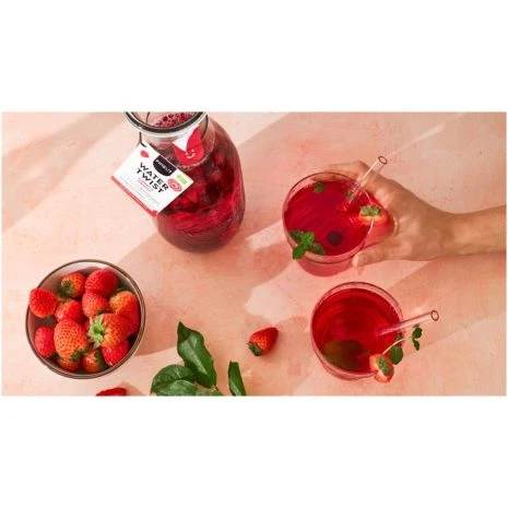 watertwist karaf aardbei bibiscus biooo