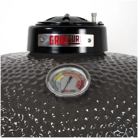 thermometer grill guru medium