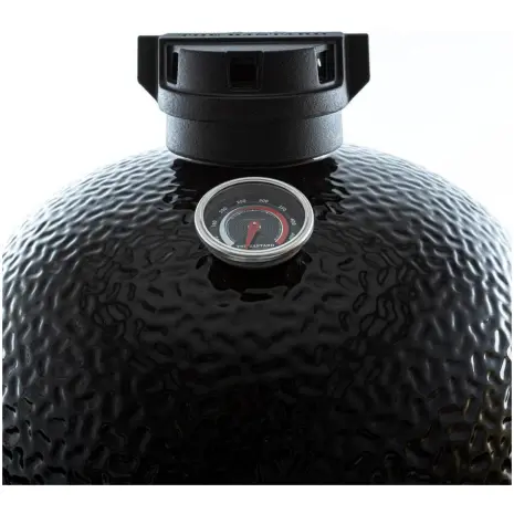 thermometer the bastard medium solo