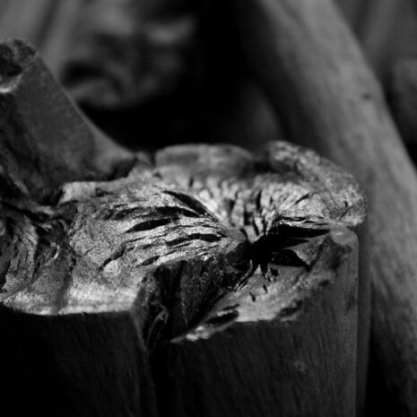 details white binchotan voor 1 grillsessie