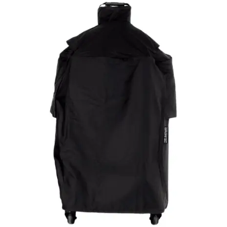 The bastard Raincover The bastard Raincover