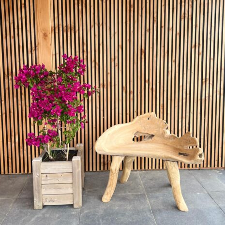 1 zits Boombank natuurlijke vormen