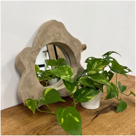 Boomstam spiegel Small