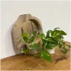 Boomstam teak spiegel Small