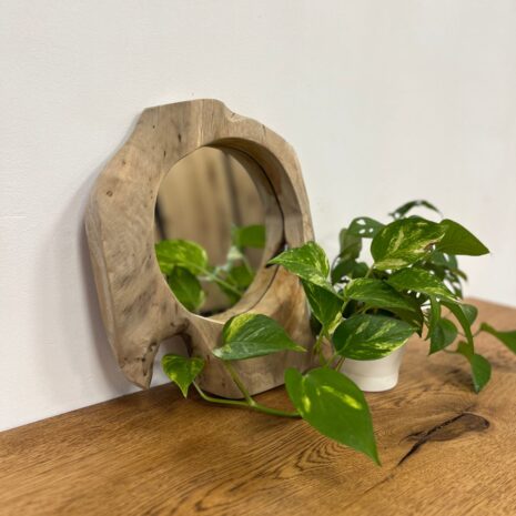 Boomstam teak spiegel Small