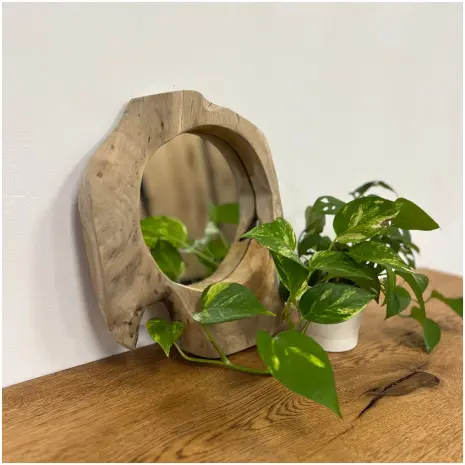 Boomstam teak spiegel Small