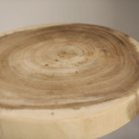 bijzet tafeltje boomstam