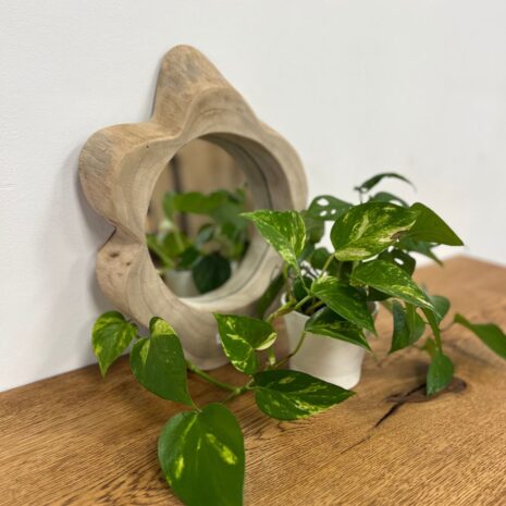 teak hout Boomstam spiegel Small