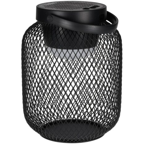 BRAINZ Lantaarn Speaker Jill Zwart