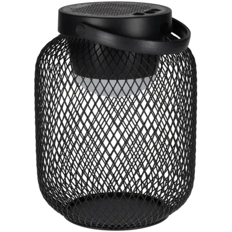 BRAINZ Lantaarn Speaker Jill Zwart