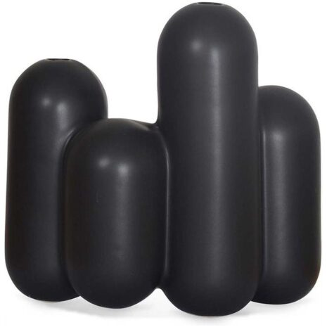 zwarte vaas voor droog bloemen opjet