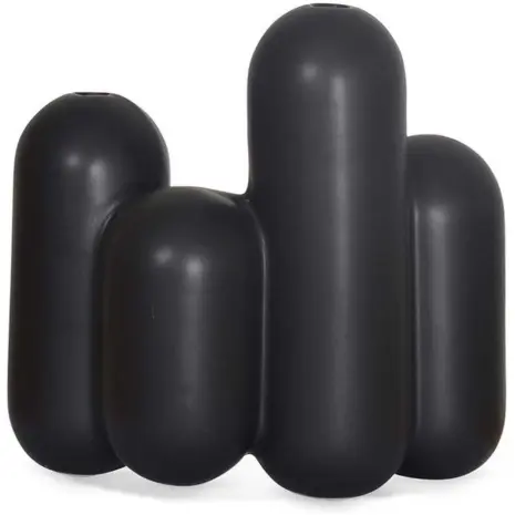 zwarte vaas voor droog bloemen opjet