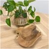 Suar houten schaal naturel 30 cm – organische vorm Suar houten schaal naturel 30 cm – organische vorm