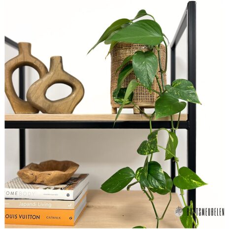 mat zwarte Stalen eiken boekenkast Eline