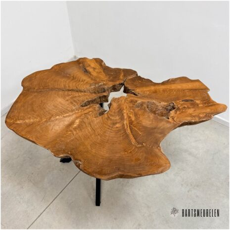 Details Blad teak salontafel met matrix poot (E)