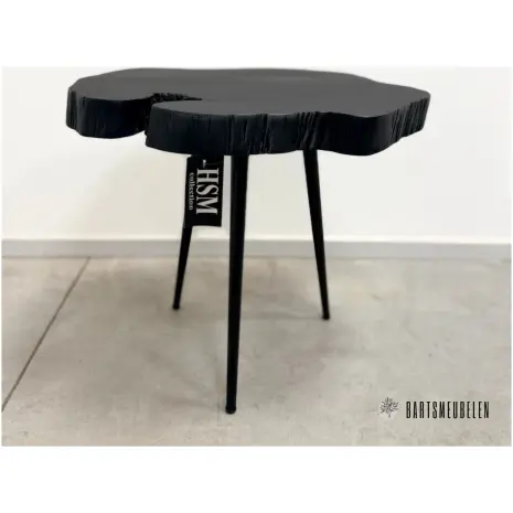 HSM collection Acasia planten tafeltje met stalen poten (H)