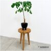 Planten tafeltje Teak (F)