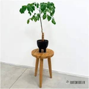 Planten tafeltje Teak (F)