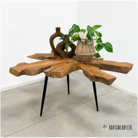 Plantentafeltje Teak met stalen poten (C)