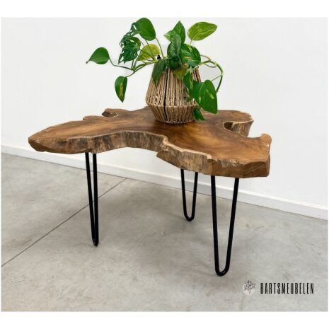 boomstam plantentafeltje met stalen poten (A)