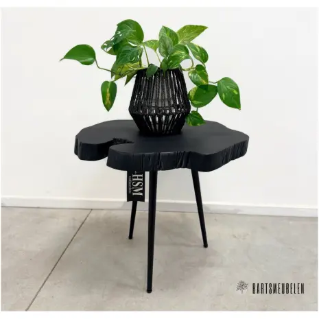 Zwart boomstam tafeltje met stalen poten (H)