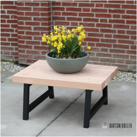Douglas salontafel buiten met stalen frame